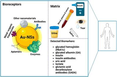 Recent advances in gold nanostructure-based biosensors in detecting diabetes biomarkers